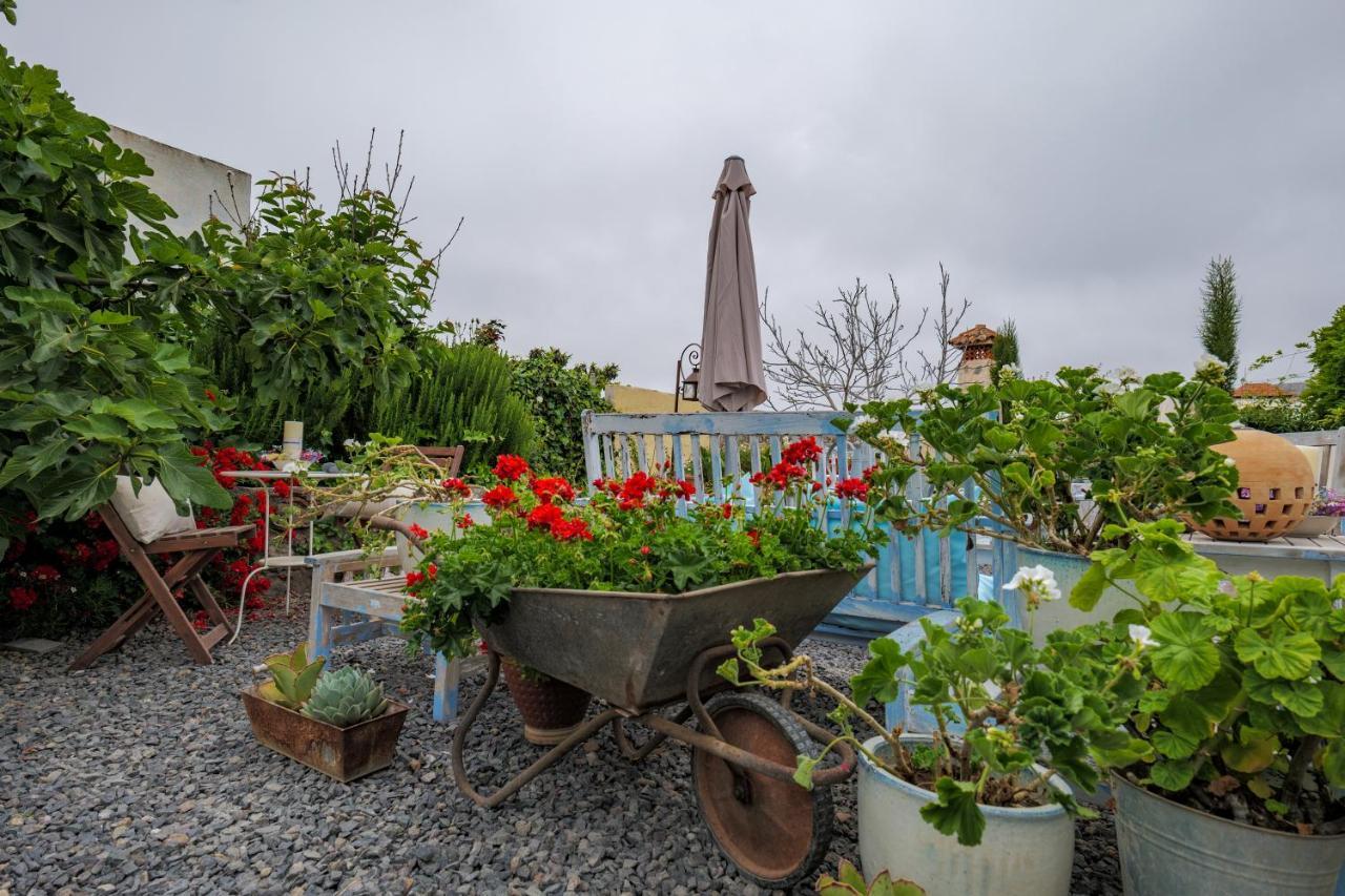 Casa Jacinta Con Jacuzzi Country house Costa Adeje (Tenerife)
